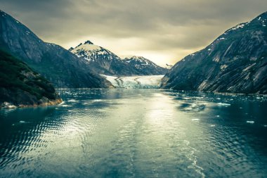 Tracy kol fiyort sahne Haziran ayında alaska