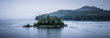 Haziran ayında deniz manzarası ile Alaska doğa ve dağ