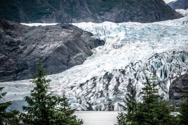 Panoramik Mendenhall Buzulu Juneau Alaska