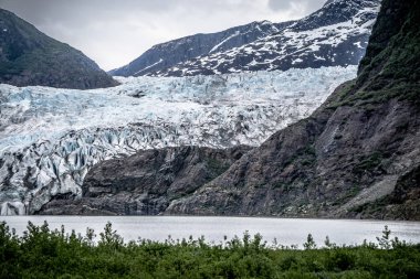Panoramik Mendenhall Buzulu Juneau Alaska