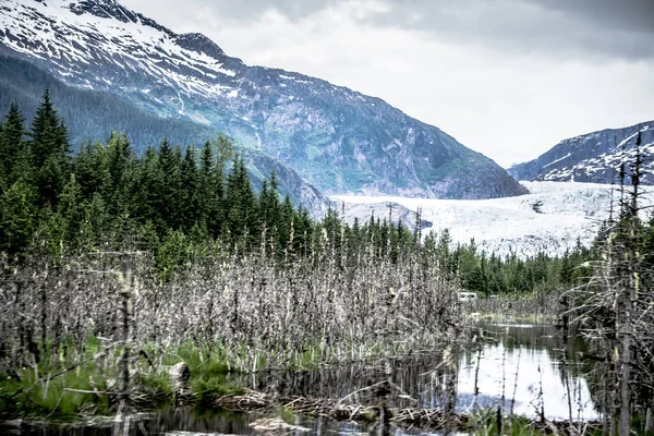 Blick auf den Mendenhall-Gletscher juneau alaska — Stockfoto