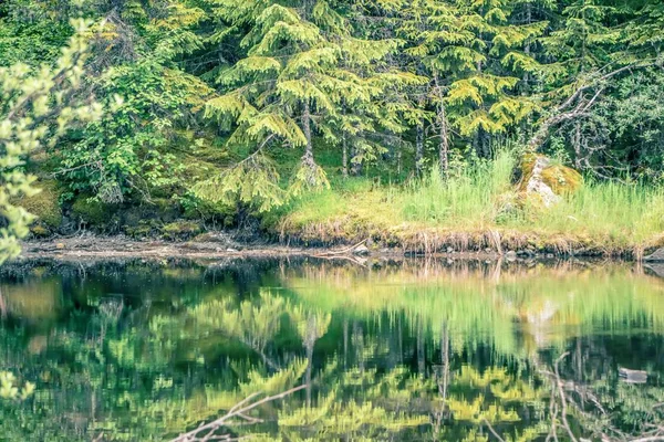 Paisaje del norte y la naturaleza en Alaska panhandle — Foto de Stock