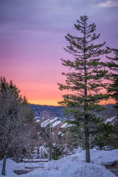 Winterlandschap met zonsopgang bij sneeuwschoentrails mountain wv — Stockfoto