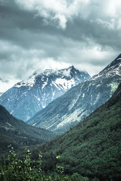 Rocky Dağları doğa sahneleri alaska british columbia sınırında — Stok fotoğraf