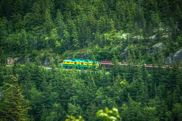 Malerischer Zug vom Skagway zum weißen Pass alaska — Stockfoto