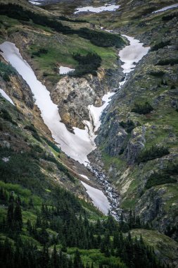 küçük şelaleler dağ yamaçlarında alaska Dağları