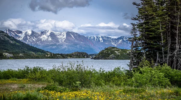 Rocky mountains natuurtaferelen op alaska Brits columbia grens — Stockfoto