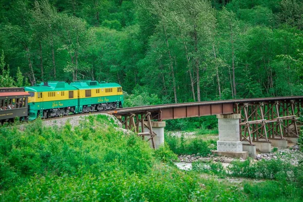 Schilderachtige trein van skagway naar white pass alaska — Stockfoto
