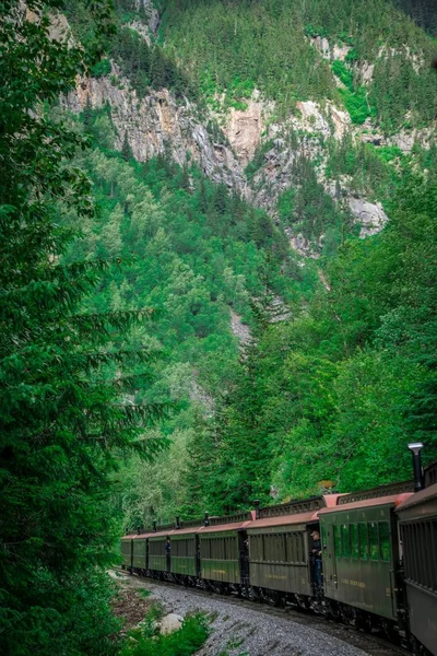 Natursköna tåg från skagway white pass Alaska — Stockfoto