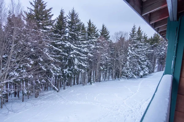 Beautiful nature and scenery around snowshoe ski resort in cass — Stock Photo, Image