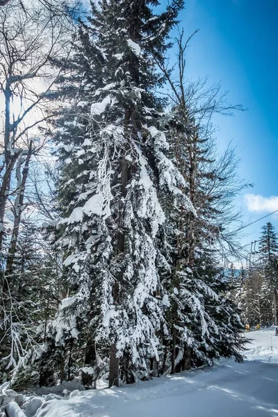 Красивая природа и пейзажи вокруг горнолыжного курорта снегоступы в Касс — стоковое фото