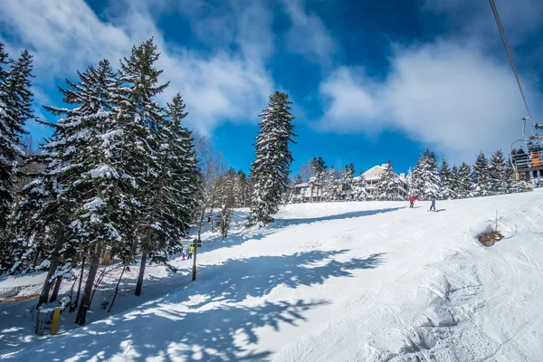 Piękna przyrody i krajobrazów w rakietach śnieżnych ski resort w cass — Zdjęcie stockowe