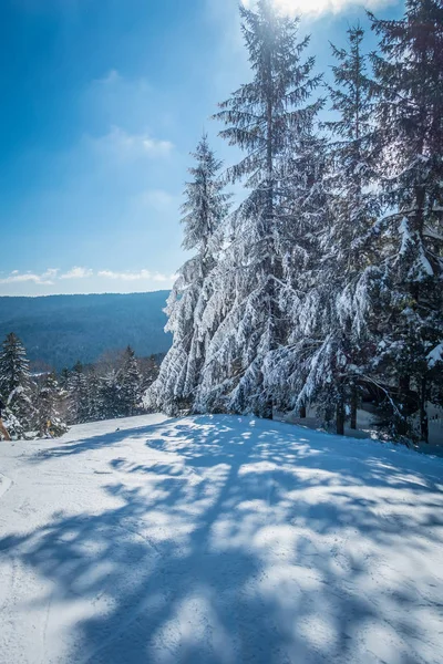 Красивая природа и пейзажи вокруг горнолыжного курорта снегоступы в Касс — стоковое фото