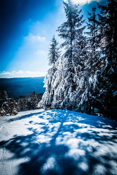 Prachtige natuur en landschap rond sneeuwschoentrails ski-oord in cass — Stockfoto