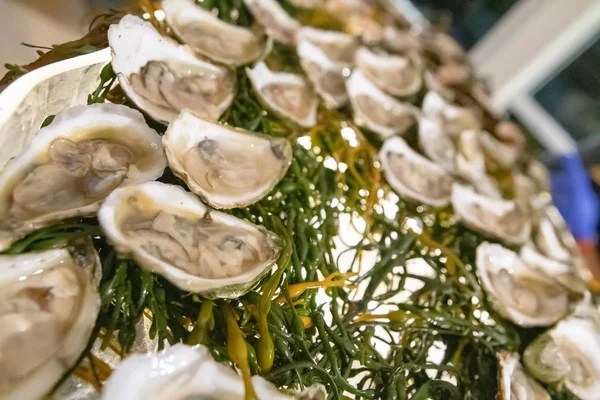 Fresh raw oyster bar at an event party — ストック写真