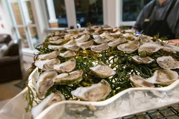 Fresh raw oyster bar at an event party — ストック写真