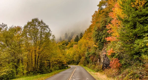 Vroege ochtend herfst mistige foto op blauwe bergkam parkway noord auto — Stockfoto