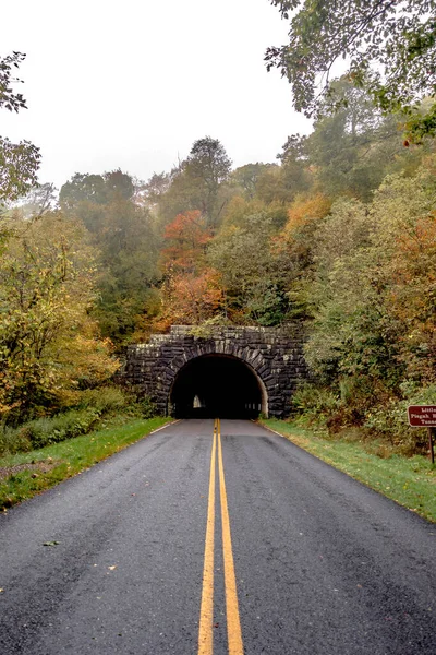 ใบไม วงในเท อกเขา Apalachin บนส นเขาส Parkway — ภาพถ่ายสต็อก