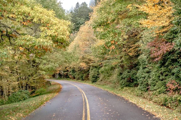 Podzimní Sezóna Horách Apalachin Modrém Hřebenu Parkway — Stock fotografie