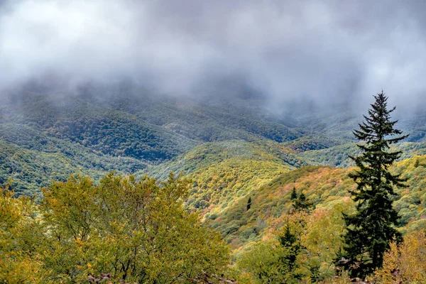 Herfst Seizoen Apalachin Bergen Blauwe Bergrug Parkway — Stockfoto