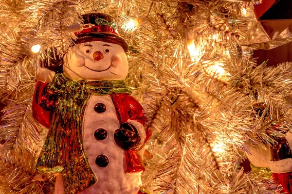 Christmas Time Winterfest Celebration Carowinds Amusement Park Carolinas — Stock Photo, Image