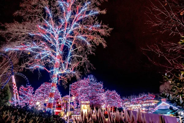 Weihnachtsfeier Freizeitpark Carowinds Carolinas — Stockfoto