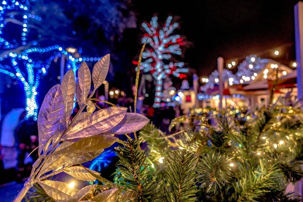 Noël Célébration Chaleureuse Parc Attractions Carowinds Carolinas — Photo