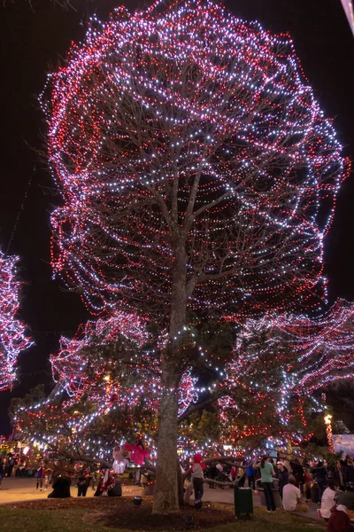 Різдвяний Час Святкування Зимових Видів Розваг Парку Розваг Каролінас — стокове фото