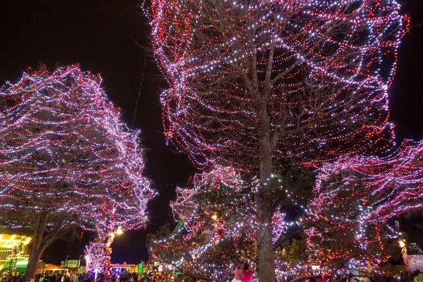 Celebración Más Occidental Navidad Carowinds Parque Atracciones Carolinas —  Fotos de Stock