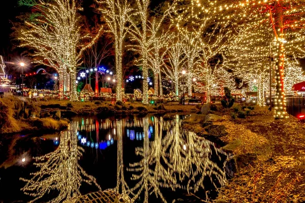 Weihnachtsfeier Freizeitpark Carowinds Carolinas — Stockfoto