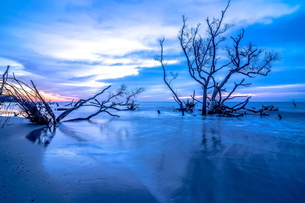 Jagdinsel South Carolina Strand Szenen — Stockfoto