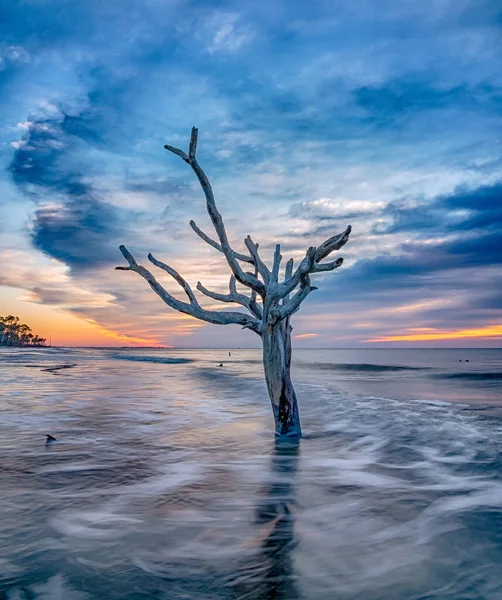 Île Chasse Sud Carolina Plage Scènes — Photo