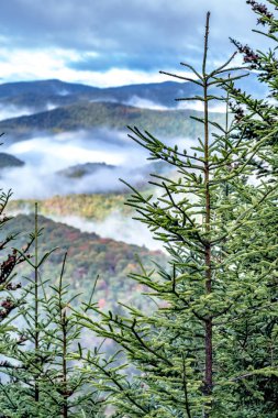 Appalachian Dağları 'nda sonbahar Blue Ridge Parkwa boyunca görülür.