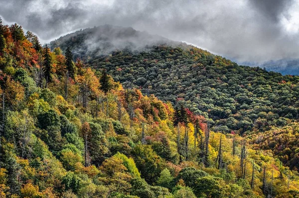 青い尾根公園に沿って見えるアパラチア山脈の秋 — ストック写真