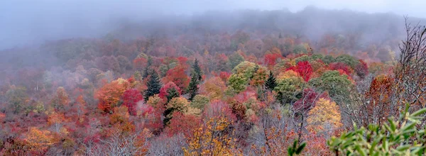 Outono Nas Montanhas Apalaches Vista Longo Blue Ridge Parkwa — Fotografia de Stock