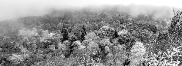 Осінь Аппалачських Горах Вид Вздовж Блакитного Хребта Парква — стокове фото
