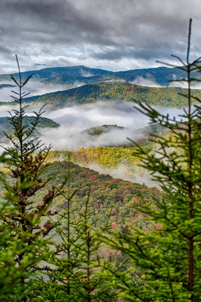 Autunno Sulle Montagne Degli Appalachi Vista Lungo Blue Ridge Parkwa — Foto Stock