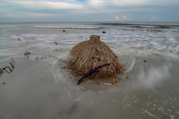 Île Chasse Sud Carolina Plage Scènes — Photo