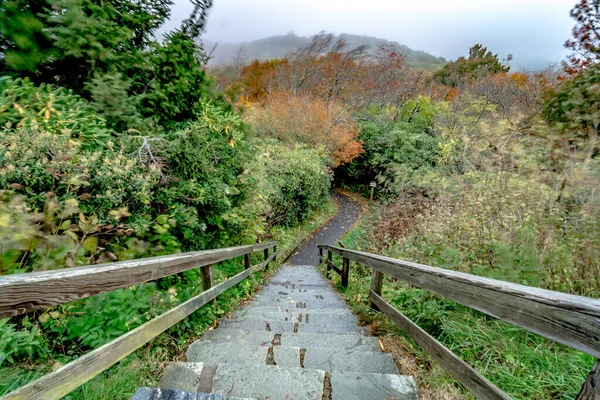 Ochtend Zonsopgang Ove Blauwe Bergrug Parkway Bergen — Stockfoto