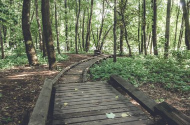Yeşil yaz ormanında eski ahşap patika yolu.