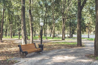 Parktaki bankta, yeşil ağaçların arasında. Yürüyüş için park et