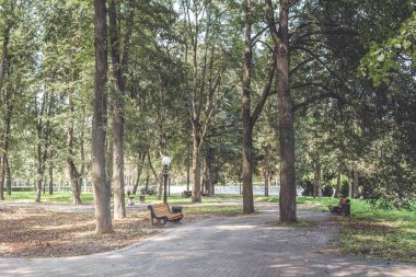 Parktaki bankta, yeşil ağaçların arasında. Yürüyüş için park et