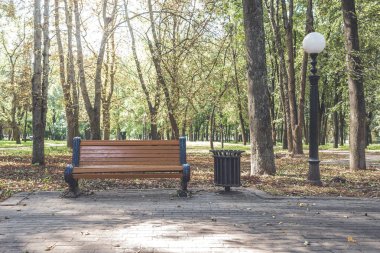 Parktaki bankta, ormandaki yeşil ağaçların arasında.
