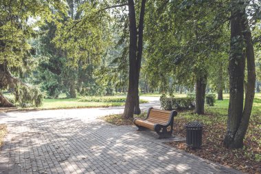 Parktaki bankta, yeşil ağaçların arasında. Yürüyüş için park et