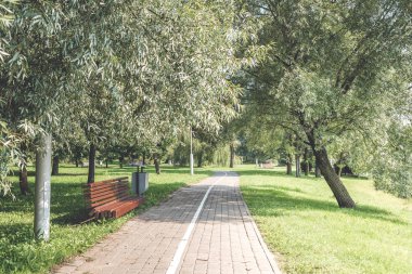 Parktaki bankta yeşil ağaçların arasında koşmak için bir patika var..