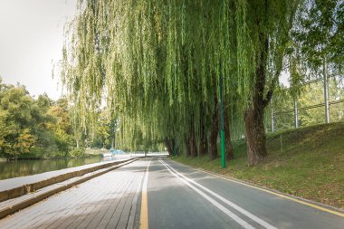 Parktaki bisiklet yolu nehir boyunca yeşil güzel ağaçlarla dolu.