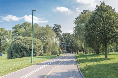 Parkta yeşil çimenler ve ağaçlarla bisiklet yolu. Güzel özet