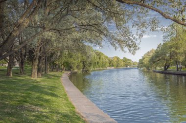 Şehir parkındaki nehir. Toprak seti boyunca ağaçlar. Güzellik doğası