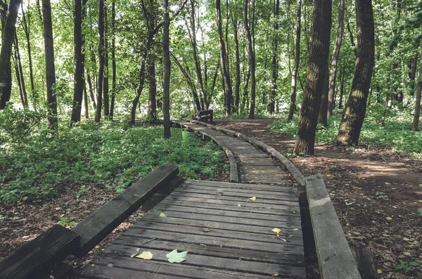 Antigua pasarela de tablón de madera en el verde bosque de verano . —  Fotos de Stock