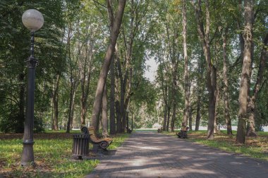 Parktaki bankta, yeşil ağaçların arasında. Yürüyüş için park et